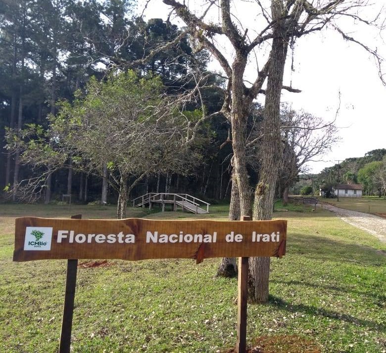 Floresta Nacional de Irati